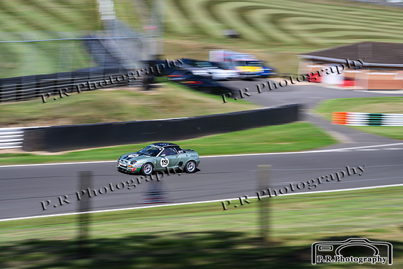 DSC_7986
