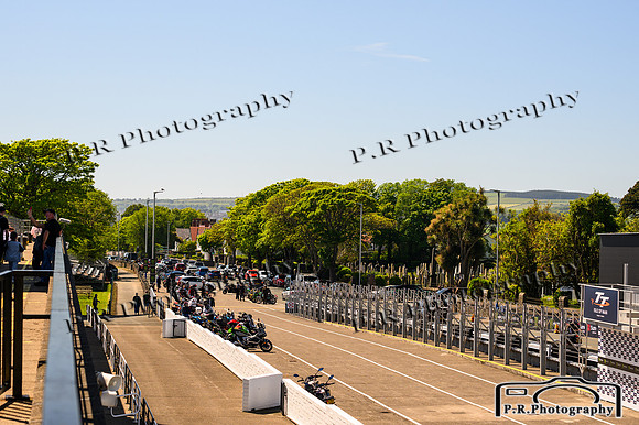 DSC_8260