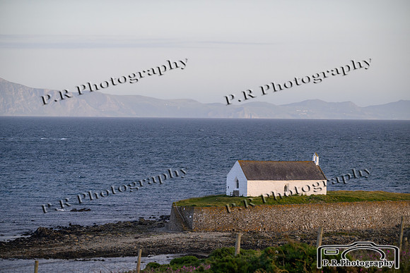 DSC_9086