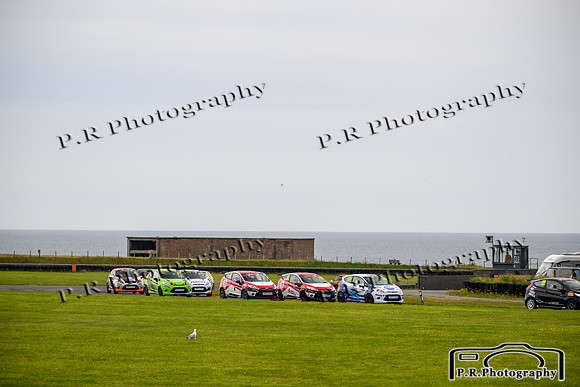 DSC_9906