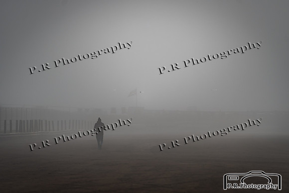 DSC_6458