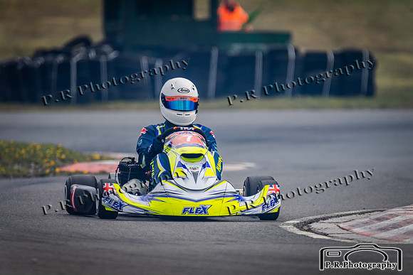 DSC_2208