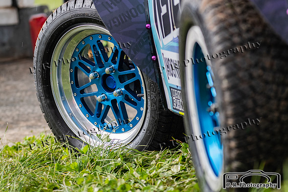 DSC_3002